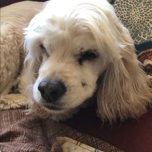 Meet your Posher, Lynn